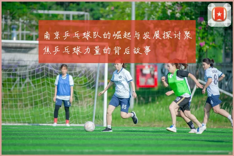 南京乒乓球队的崛起与发展探讨聚焦乒乓球力量的背后故事