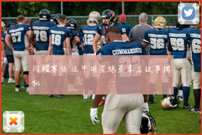 闪耀赛场 法甲明星球员幕后故事揭秘