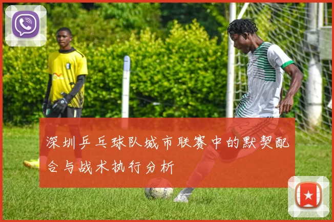 深圳乒乓球队城市联赛中的默契配合与战术执行分析