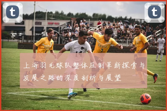 上海羽毛球队整体压制革新探索与发展之路的深度剖析与展望