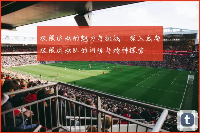 极限运动的魅力与挑战：深入成都极限运动队的训练与精神探索