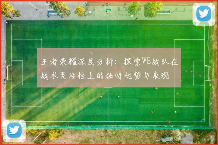 王者荣耀深度分析：探索WE战队在战术灵活性上的独特优势与表现