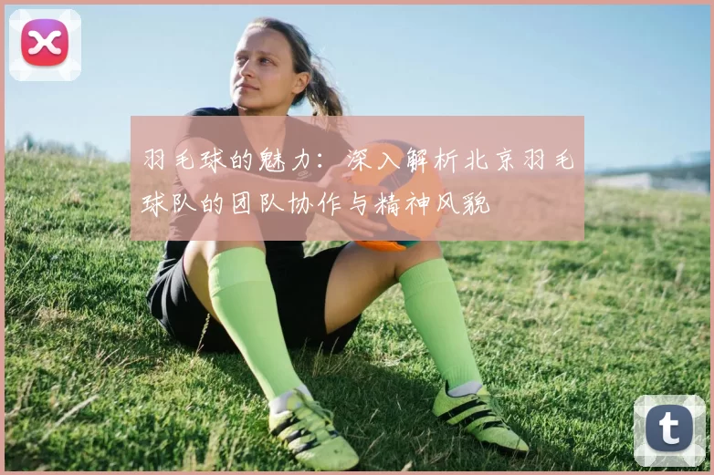 羽毛球的魅力：深入解析北京羽毛球队的团队协作与精神风貌