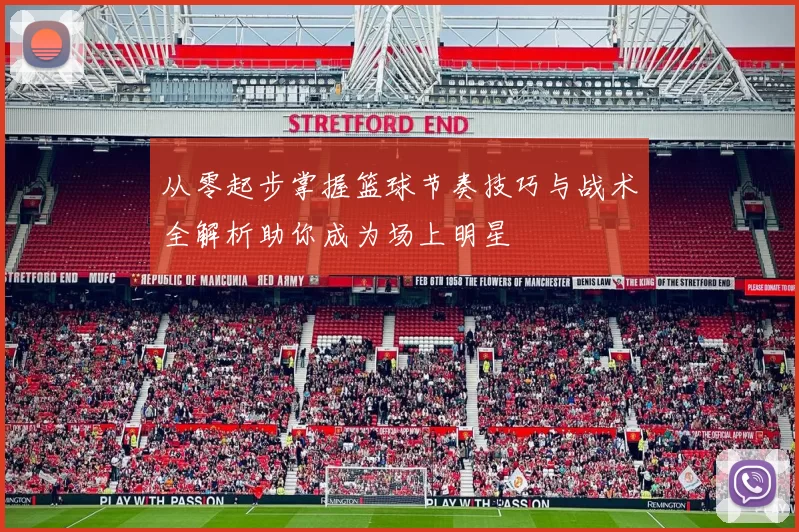 从零起步掌握篮球节奏技巧与战术全解析助你成为场上明星