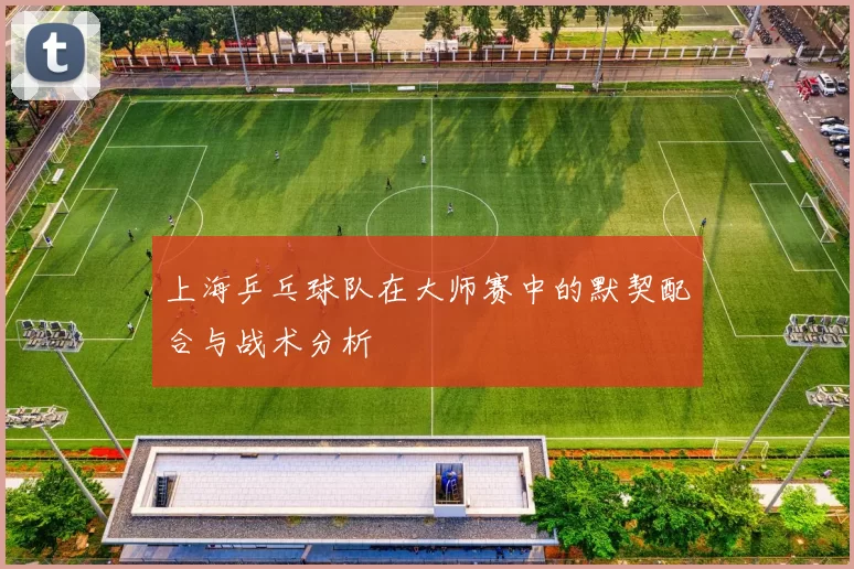 上海乒乓球队在大师赛中的默契配合与战术分析