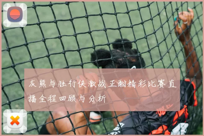 灰熊与独行侠激战正酣精彩比赛直播全程回顾与分析