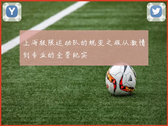 上海极限运动队的蜕变之旅从激情到专业的全景纪实
