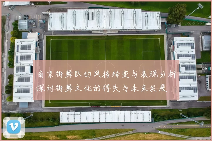 南京街舞队的风格转变与表现分析探讨街舞文化的得失与未来发展