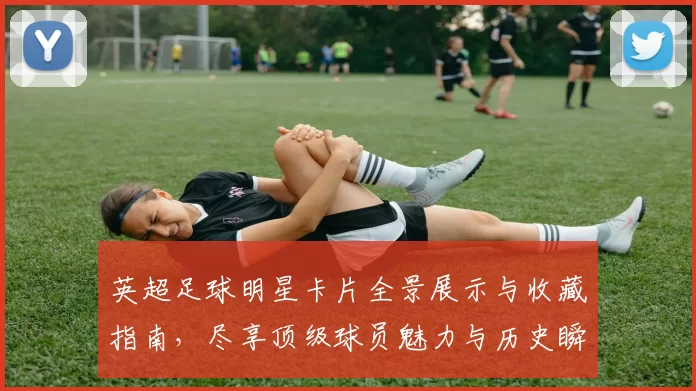 英超足球明星卡片全景展示与收藏指南，尽享顶级球员魅力与历史瞬间