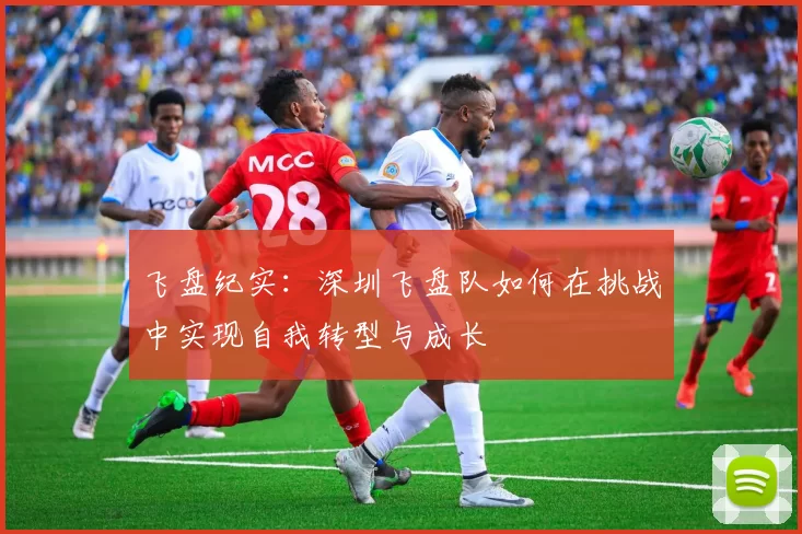 飞盘纪实：深圳飞盘队如何在挑战中实现自我转型与成长