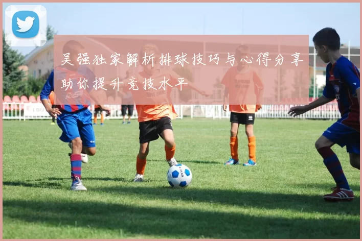 吴强独家解析排球技巧与心得分享助你提升竞技水平