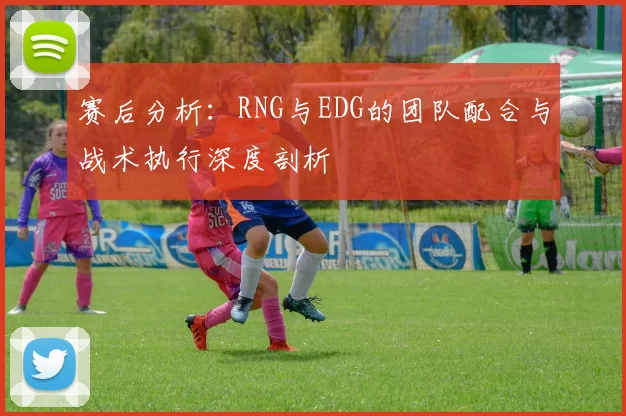 赛后分析：RNG与EDG的团队配合与战术执行深度剖析