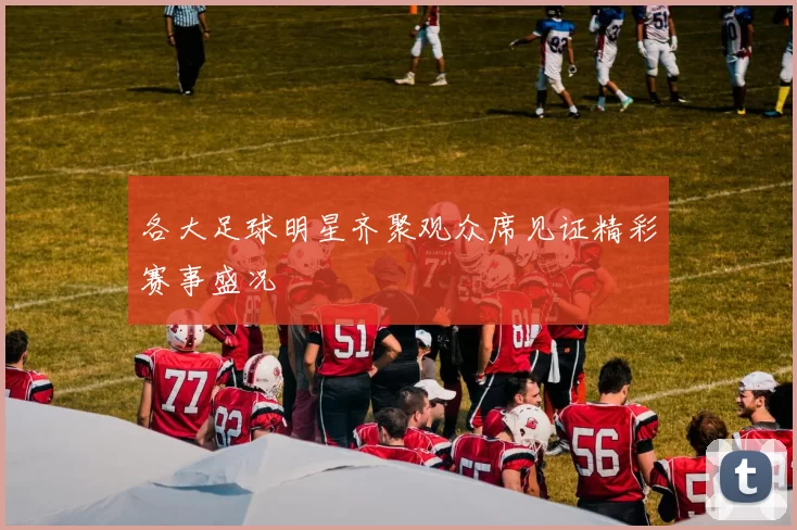 各大足球明星齐聚观众席见证精彩赛事盛况