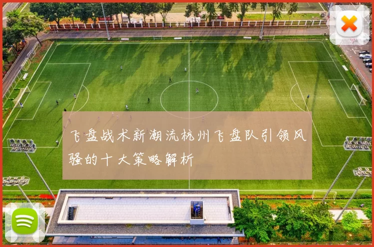 飞盘战术新潮流杭州飞盘队引领风骚的十大策略解析