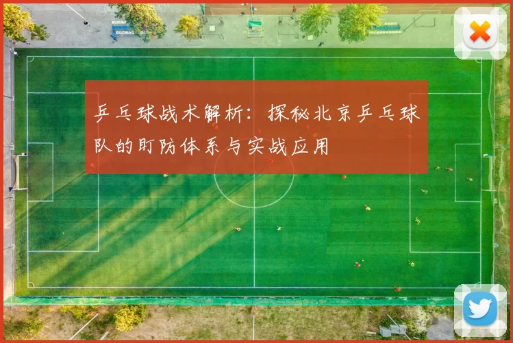 乒乓球战术解析：探秘北京乒乓球队的盯防体系与实战应用