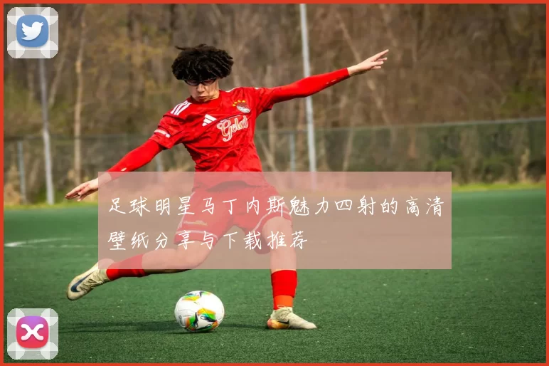 足球明星马丁内斯魅力四射的高清壁纸分享与下载推荐