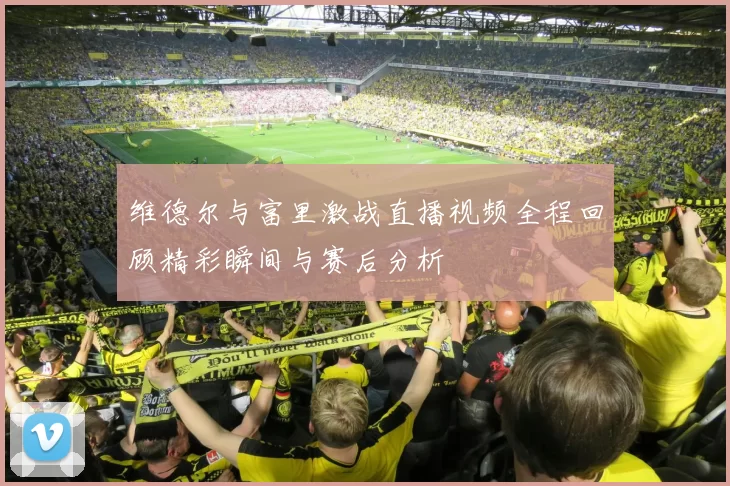 维德尔与富里激战直播视频全程回顾精彩瞬间与赛后分析