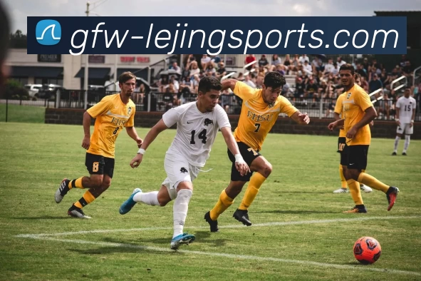 lejing乐竞平台生态图